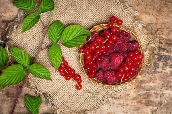 Frambuesa Fresca Frutos Rojos Grosella Bowl Vista Superior — Foto de Stock