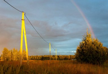 Yağmurdan sonra. Güneş ağaçları, otları, çayırları sıcak ışıkla aydınlatır. Bulutların altından bir gökkuşağı süzülüyor!