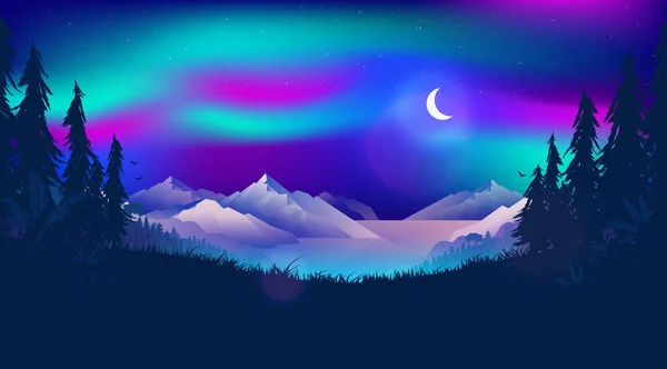 Ilustrace Severního Osvětlení Aurora Borealis Obloze Nad Norským Fjordem Krásná — Stockový vektor