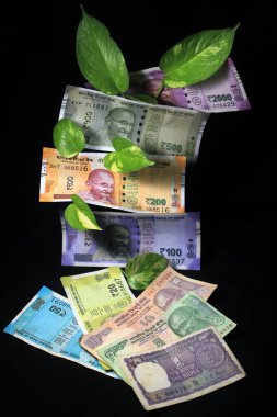 0 Rupee Premium Stock Photos Download For Commercial Use Format Jpg Images High Resolution 0 Rupee Premium Stock Photos Download For Commercial Use Format Jpg Images High Resolution