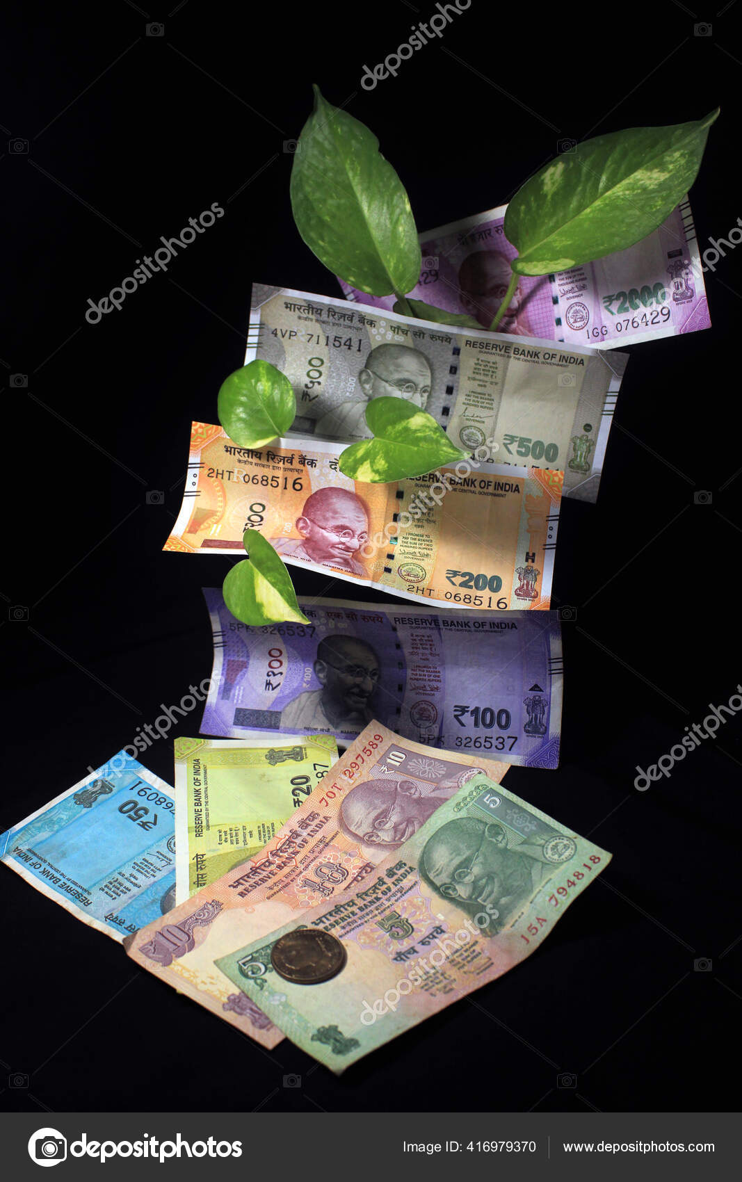 Devil Ivy Epipremnum Aureum Money Plant Leaf Indian Rupee Currency Stock Photo Image By C Sangitapal Gmail Com Devil Ivy Epipremnum Aureum Money Plant Leaf Indian Rupee Currency Stock Photo Image By C Sangitapal Gmail Com