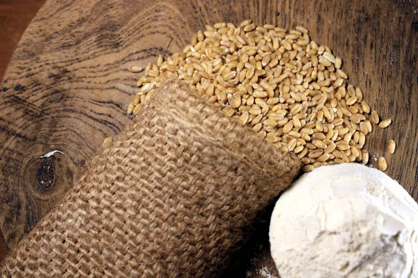 Купа Органічної Цільної Зернової Пшениці Свіже Зібране Зерно Пшениці Дерев — стокове фото