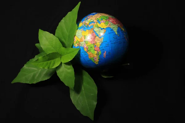葉の上の緑の地球黒に隔離された 緑の葉を持つ地球の地球は黒い背景に孤立している 黒を背景にした学校の世界 — ストック写真
