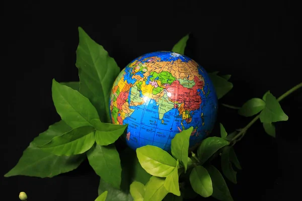 Green Earth on Leaves Isolated on black. Earth globe with green leaves isolated on a black background. School globe on black background.