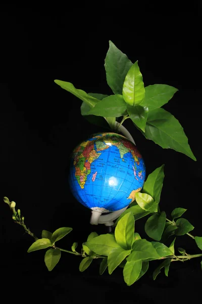 葉の上の緑の地球黒に隔離された 緑の葉を持つ地球の地球は黒い背景に孤立している 黒を背景にした学校の世界 — ストック写真