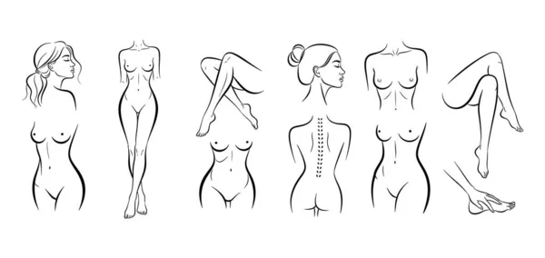 Kadın vücudu anatomisi ve güzelliğinin zarif çizimi, modern minimalist hislerle moda tasarımı veya sağlık projeleri için mükemmel.