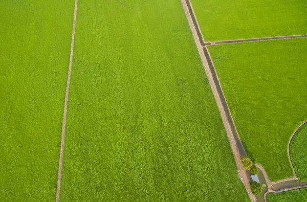 Vista Aérea Drone Voador Arroz Campo Com Paisagem Verde Padrão — Fotografia de Stock