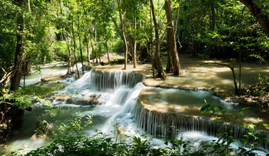 Güzel şelale, orman arka planı, manzara