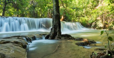 Güzel şelale, orman arka planı, manzara