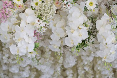 düğün çiçeği arka planı, renkli arkaplan, taze gül, bir demet çiçek