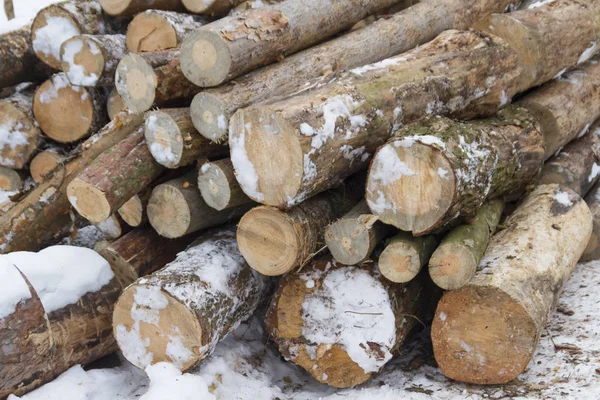 Closeup Pile Wooden Logs Placed Snow Outdoors Daytime — Stock Photo, Image
