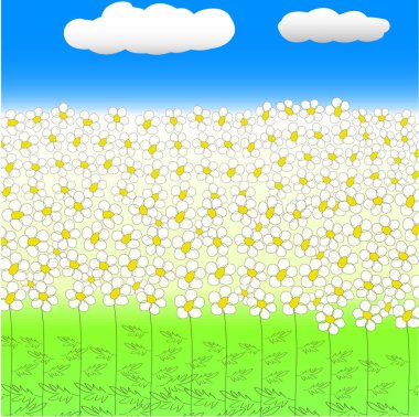 alan bulutlar ile mavi gökyüzü altında çiçek açan papatyalar