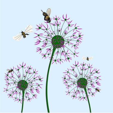 arılar üzerinde mavi arka plan ile grafik karahindiba