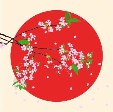 kiraz veya çiçek açan sakura kırmızı daire içinde çırpı 