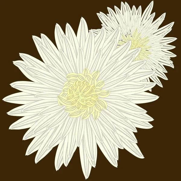 在棕色背景的图形白色菊花 — 图库矢量图片