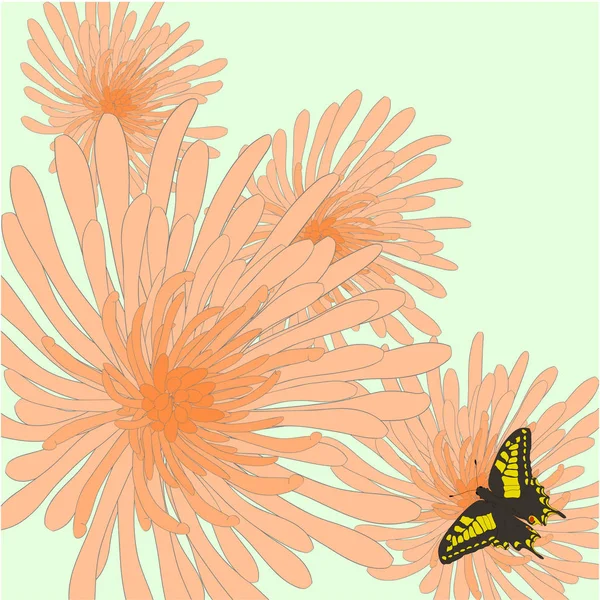 Grafische Oranje Chrysanten Met Vlinder — Stockvector