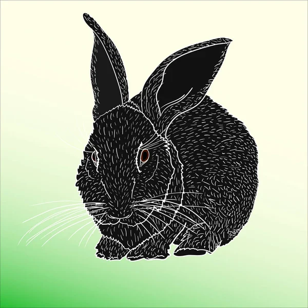 Lapin Noir Graphique Sur Fond Vert — Image vectorielle