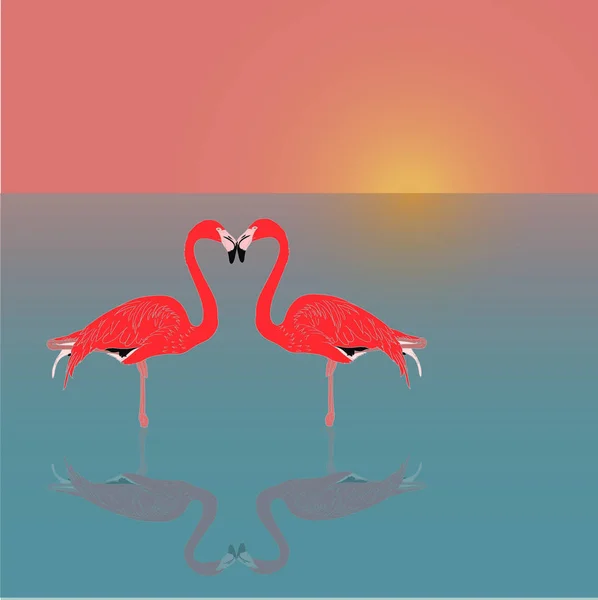 Par Rosa Flamingos Kyssar Vid Solnedgången — Stock vektor