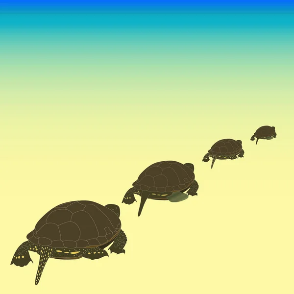 Freshwater Turtles Walking Row Beach — Stock Vector