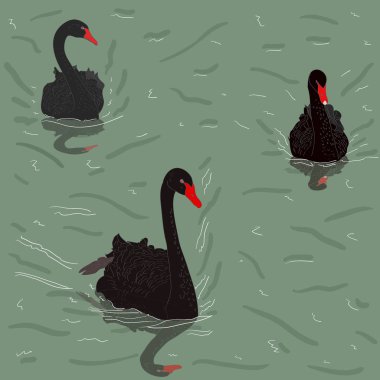 nehir tarafından yüzen siyah Swans sadece vektör illüstrasyon
