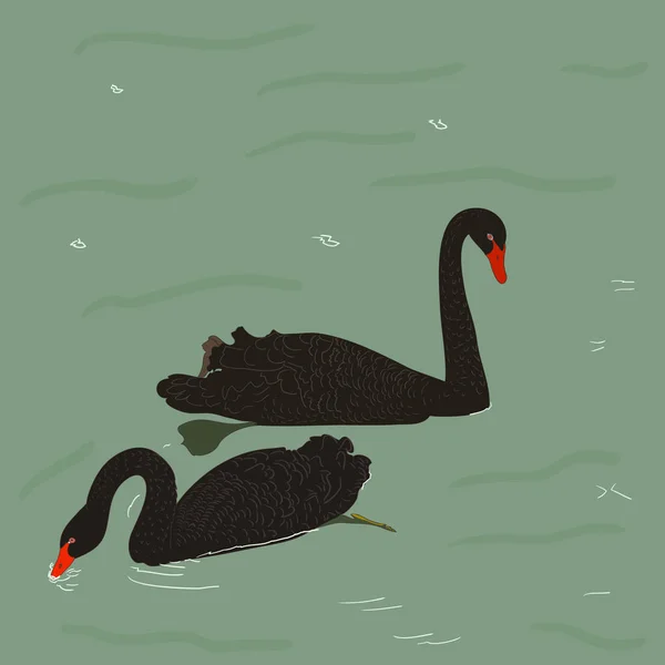 Cisnes Flotando Por Río Simplemente Vector Ilustración — Archivo Imágenes Vectoriales