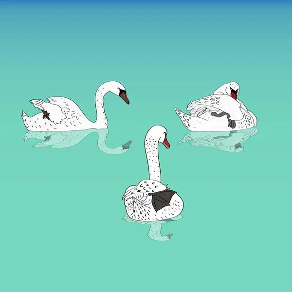 Cisnes Flotando Por Río Simplemente Vector Ilustración — Archivo Imágenes Vectoriales