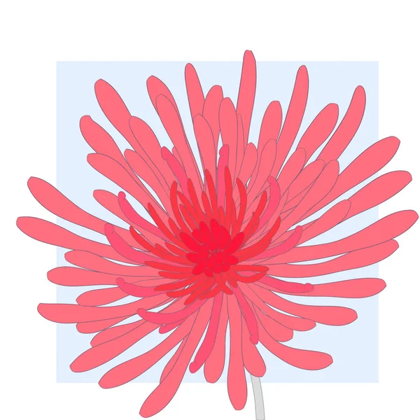图形红色菊花 — 图库矢量图片