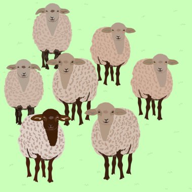 koyunları sürüsü sadece vektör illüstrasyon