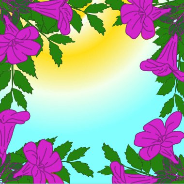 renkli arka plan üzerinde çerçeve içinde parlak mor çiçekler 