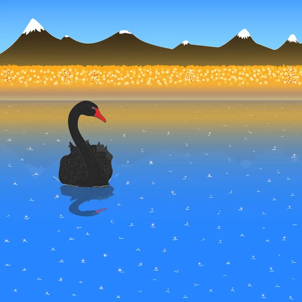 Cisne Negro Flotando Por Río Simplemente Vector Ilustración — Archivo Imágenes Vectoriales