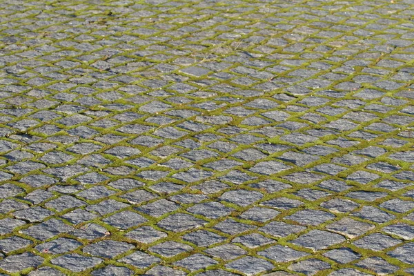 A stone path sprouted moss.