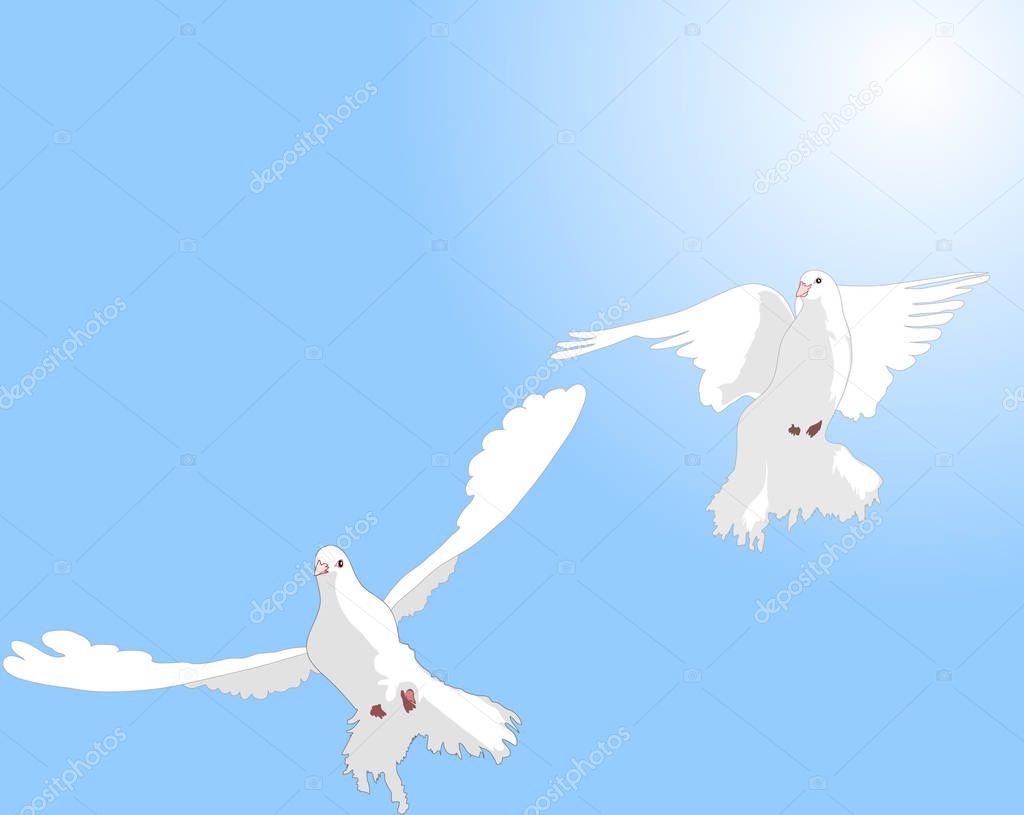 flying doves simply vector illustration