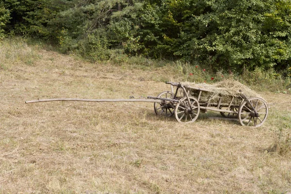 Chariot en bois sur une colline . — Photo