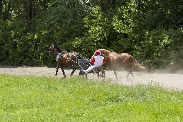 Τρέχει ένα άλογο και το βαγόνι στο δρόμο. — Φωτογραφία Αρχείου