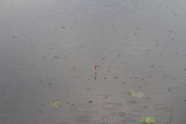 yakın çekim sırasında yağmur su yüzeyinde float