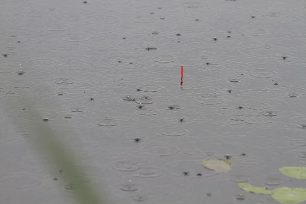 Close Flutuar Superfície Água Durante Chuva — Fotografia de Stock