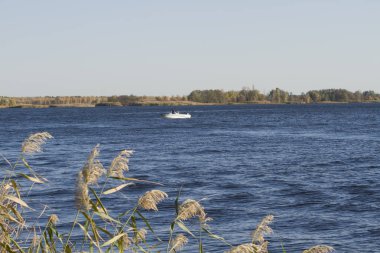 Beyaz tekne yelken gölde doğal görünümünü 