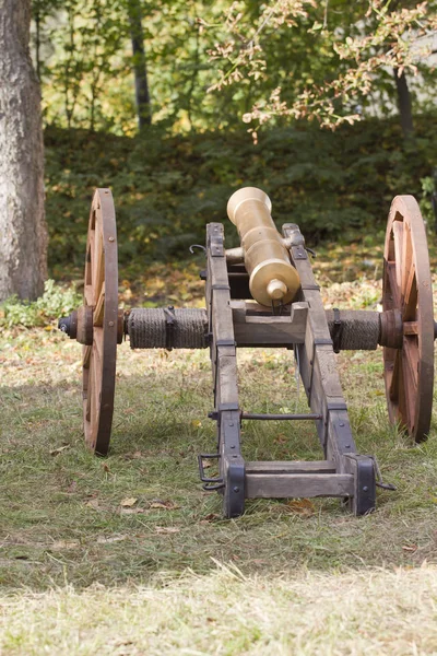 Close Old Artillery Cannon — Stock Photo, Image