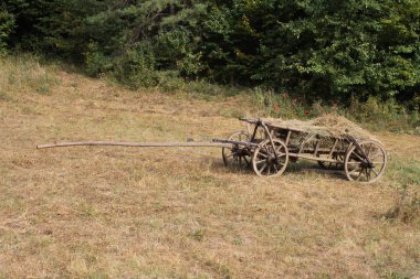 Eski tahta at arabası görünümünü