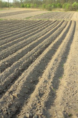 Tarım arazileri yere iniş için satır görünümü