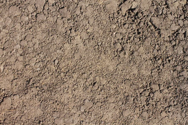 乾燥割れ地球テクスチャのクローズ アップ — ストック写真