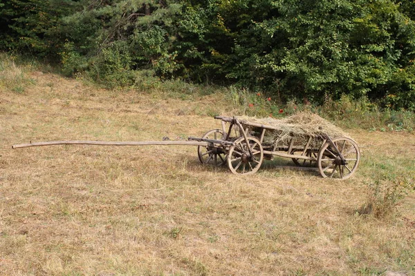 Vue Vieille Charrette Chevaux Bois — Photo