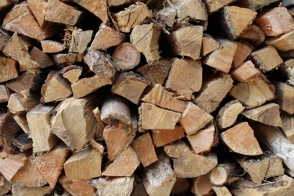 木の丸太の履歴をクローズ アップ — ストック写真