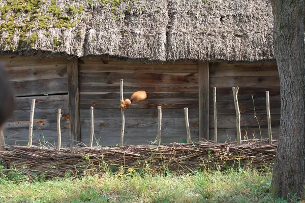 Ancienne Maison Bois Dans Cadre Rural — Photo