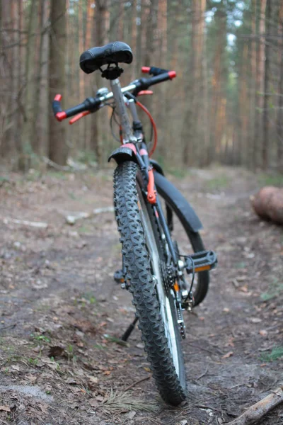 Close up of mountain bicycle in autumn forest