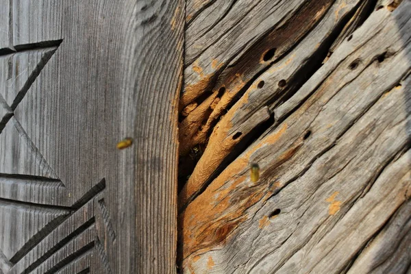 Close Wooden Planks Texture — Stock Photo, Image