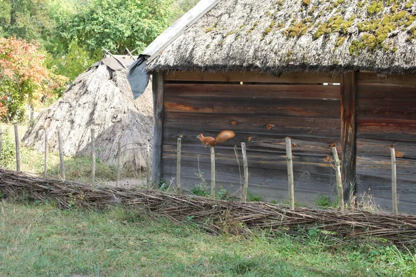 Oude Houten Huis Landelijke Omgeving — Stockfoto