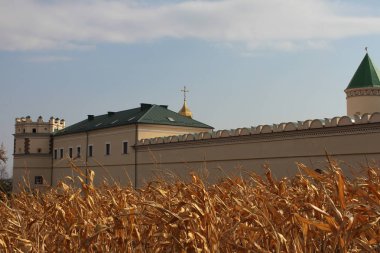 Görünüm kutsal teslis Manastırı Mezhyrich, Ukrayna