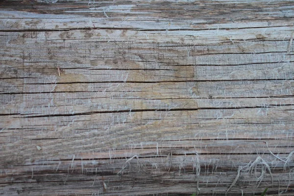 Крупним Планом Стара Текстура Дерева — стокове фото