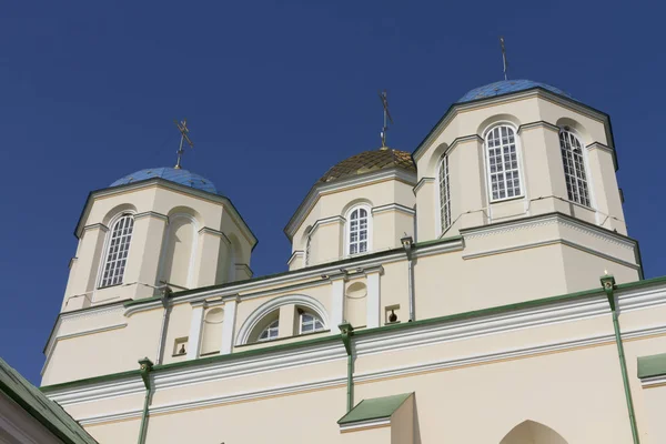 Uitzicht Het Klooster Van Heilige Drie Eenheid Mezhyrich Oekraïne — Stockfoto